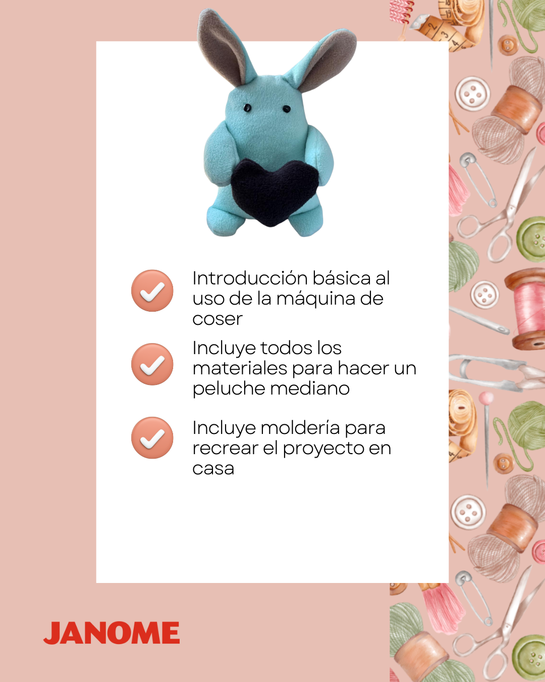 CURSO PRESENCIAL COSTURA DE PELUCHE EN SANTIAGO 14 DE FEBRERO